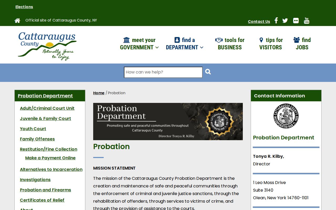 Cattaraugus County criminal record supervision and probation program